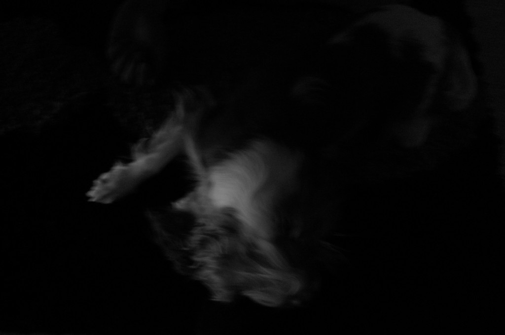 P1180305