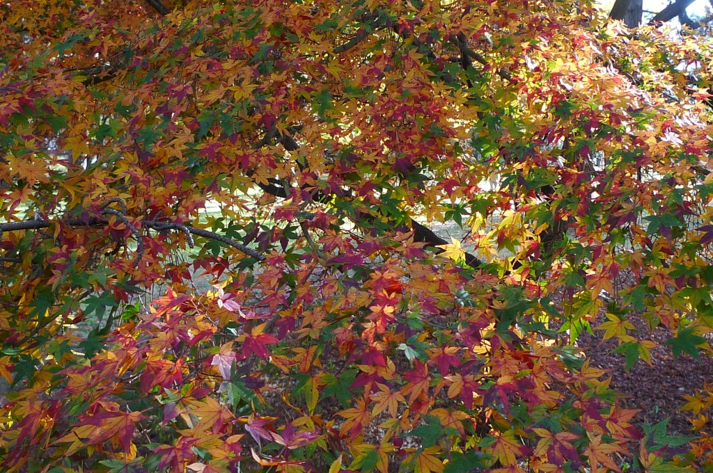 P1180389