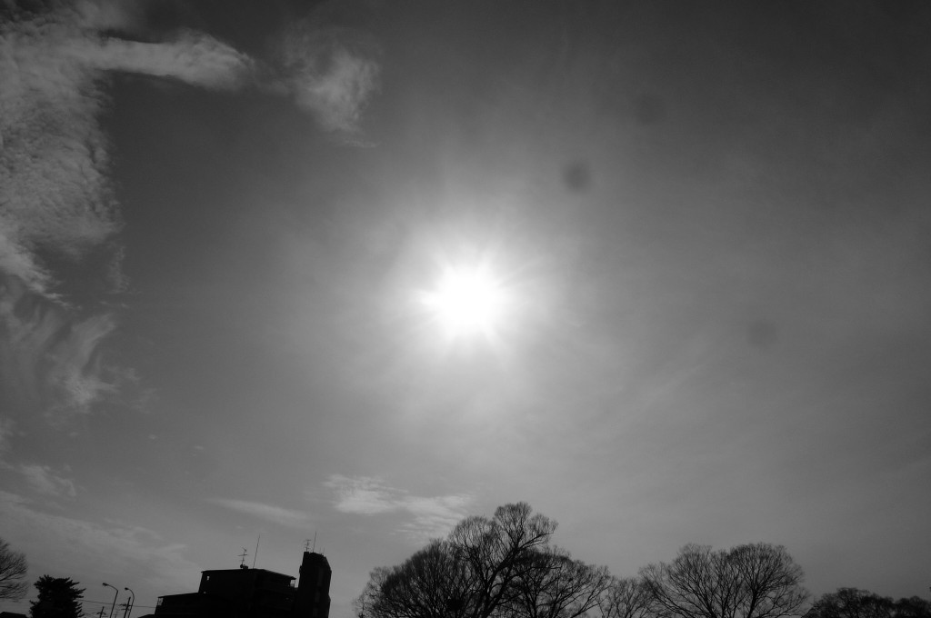 P1190005